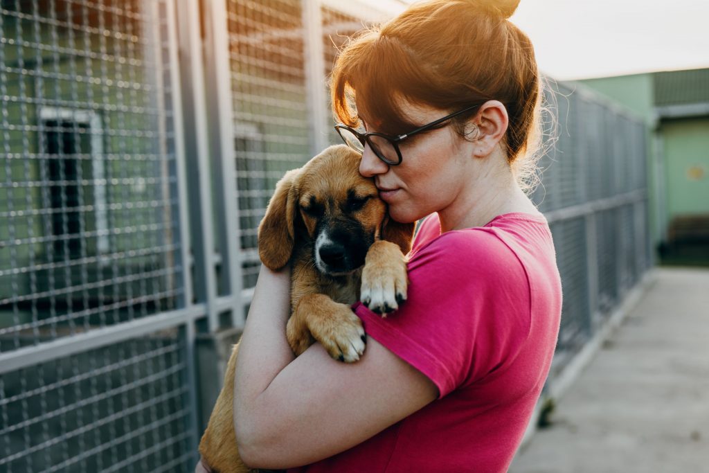 Woman holding a puppy at a shelter.