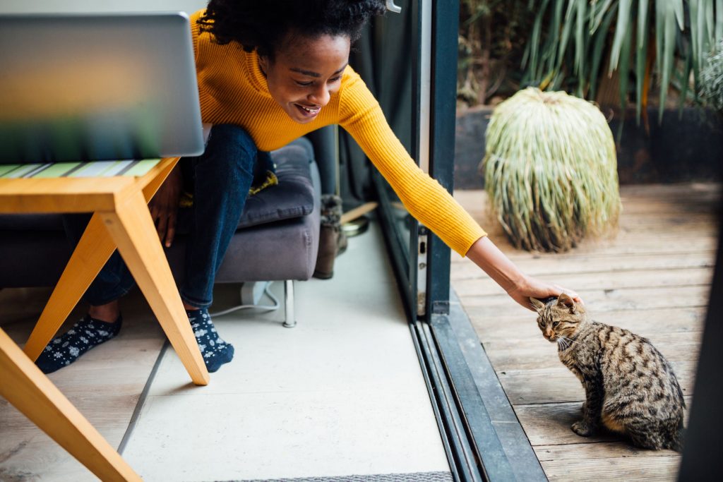 Young woman petting her bengal cat.