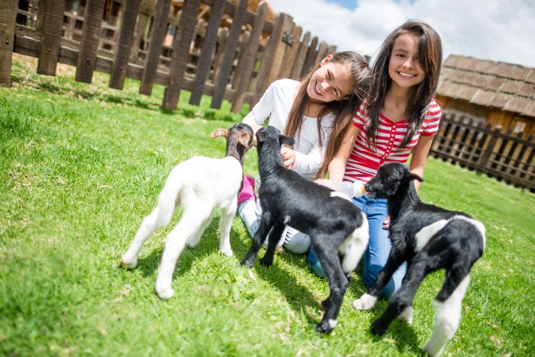 exotic pets veterinary in San Diego Archives Veterinary Blog for Los