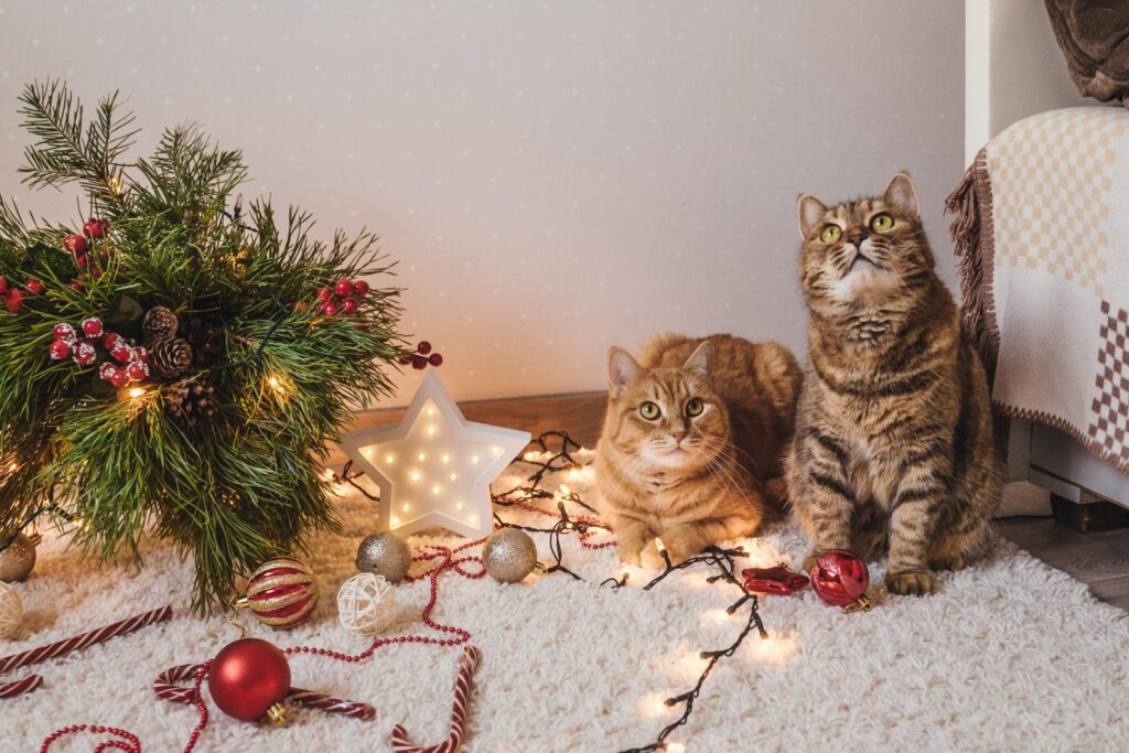cats near fallen christmas tree.