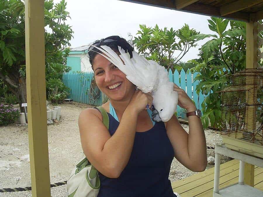 Cockatoo Veterinary Exam