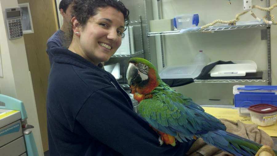 LA & San Diego Exotic Pets Veterinary Medicine | Shiloh Veterinary Hospital