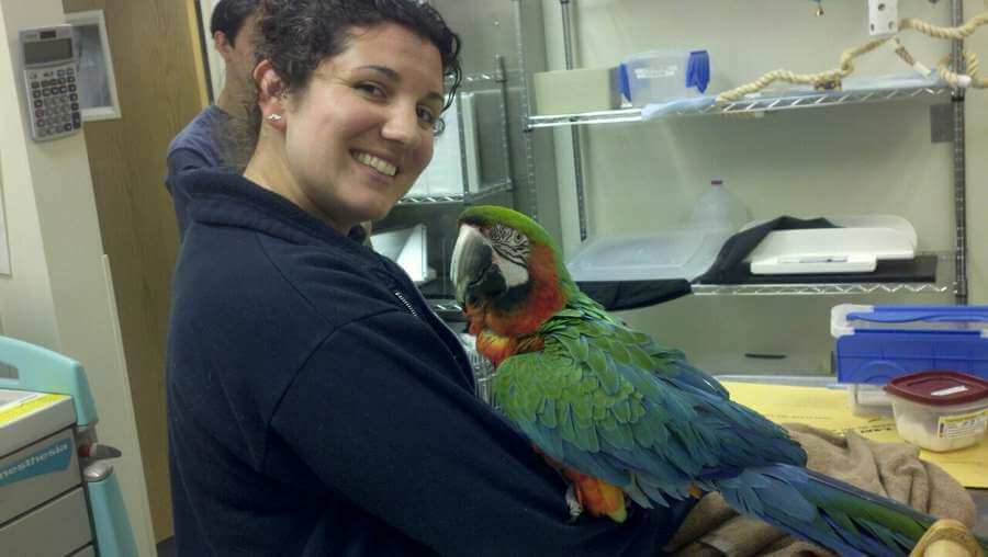 Exotic Animal Veterinarian Near Me / Exotic Animals 101 The Inside